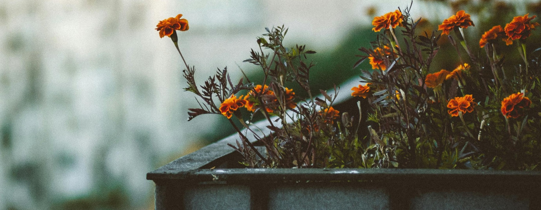 apartment-balcony-decorating-tips