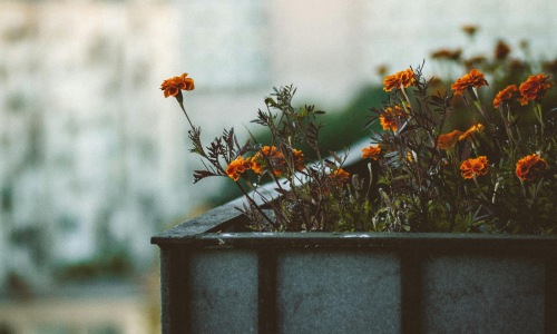 apartment-balcony-decorating-ideas apartment-balcony-decorating-ideas